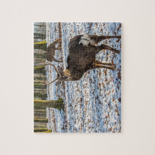 Red Deer in de sneeuw Legpuzzel (Verticaal)