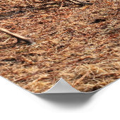 Red Deer in Glen Etive, Highlands, Schotland Poster (Hoek)