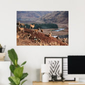 Red Deer in Glen Etive, Highlands, Schotland Poster (Thuiskantoor)