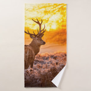 Red Deer in Morning Sun. herten, dieren, wilde die Badhanddoek
