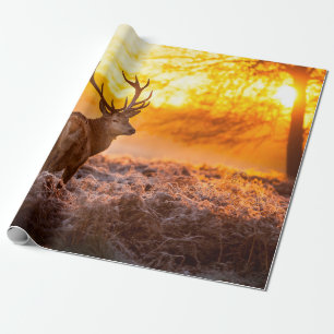 Red Deer in Morning Sun. herten, dieren, wilde die Cadeaupapier