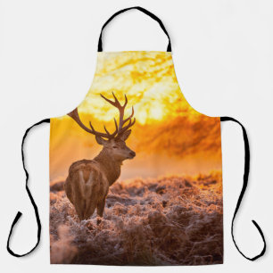 Red Deer in Morning Sun. herten, dieren, wilde die Schort