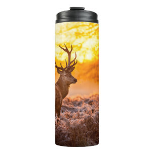 Red Deer in Morning Sun. herten, dieren, wilde die Thermosbeker