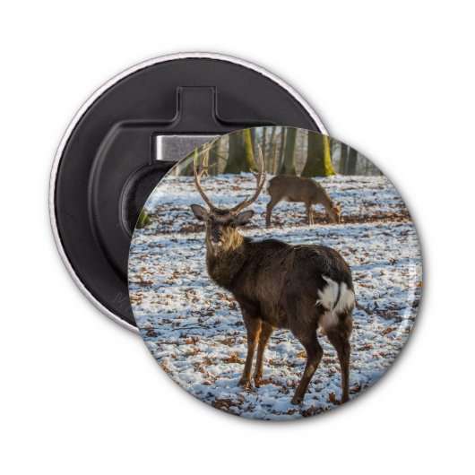 Red Deer in sneeuw Button Flesopener (Voorkant)