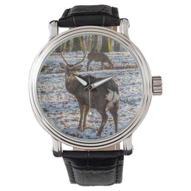Red Deer in sneeuw Horloge (Voorkant)