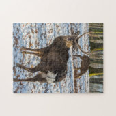 Red Deer in sneeuw Legpuzzel (Horizontaal)
