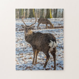 Red Deer in sneeuw Legpuzzel