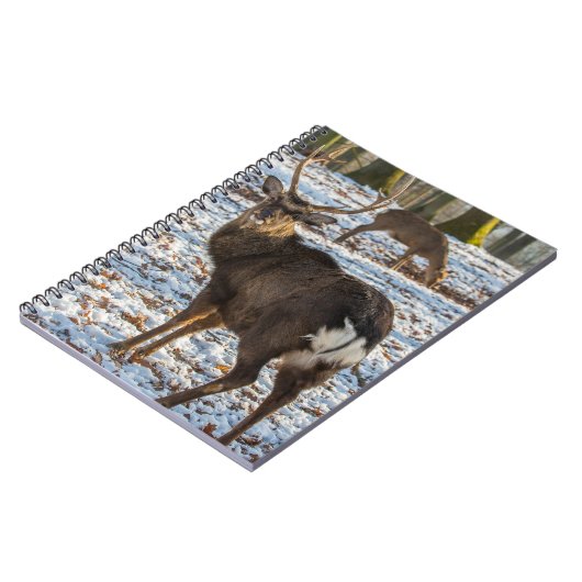 Red Deer in sneeuw Notitieboek (Linkerzijde)