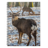 Red Deer in sneeuw Notitieboek (Voorkant)