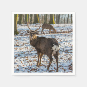 Red Deer in sneeuw Servet