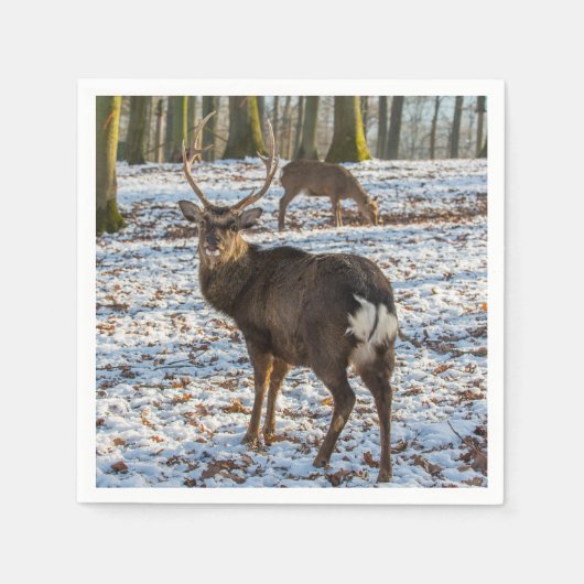 Red Deer in sneeuw Servet (Voorkant)