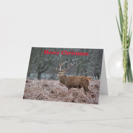 Red Deer kerstKaart Feestdagen Kaart (Voorkant)