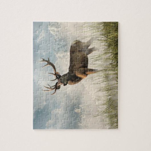 Red Deer Legpuzzel (Verticaal)