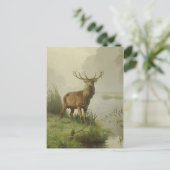 Red Deer schilderij Briefkaart (Staand voorkant)