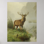 Red Deer schilderij Poster (Voorkant)