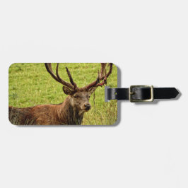 Red Deer Stag Bagagelabel