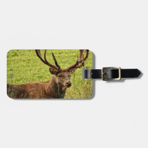 Red Deer Stag Bagagelabel