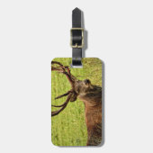 Red Deer Stag Bagagelabel (Voorkant verticaal)