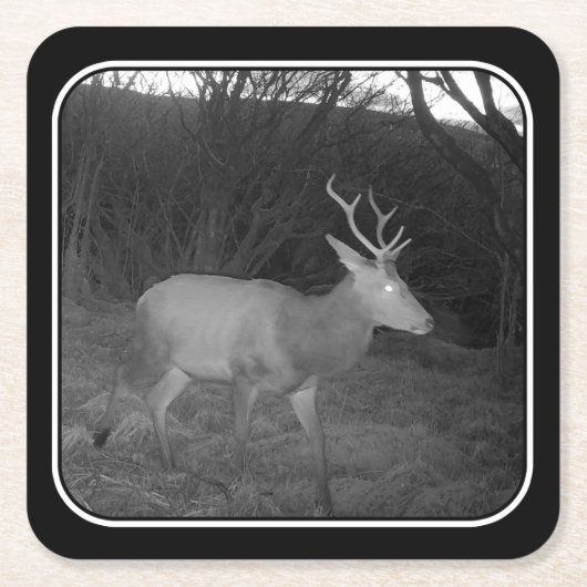 Red Deer Stag bij Dusk Paper Onderzetter (Voorkant)