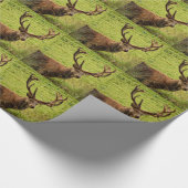 Red Deer Stag Cadeaupapier (Hoek)