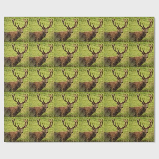 Red Deer Stag Cadeaupapier (Vlak)