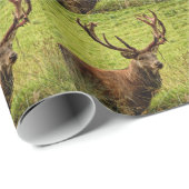 Red Deer Stag Cadeaupapier (Rol Hoek)