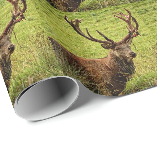 Red Deer Stag Cadeaupapier (Rol Hoek)