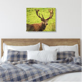 Red Deer Stag Canvas Afdruk (Insitu (Slaapkamer))