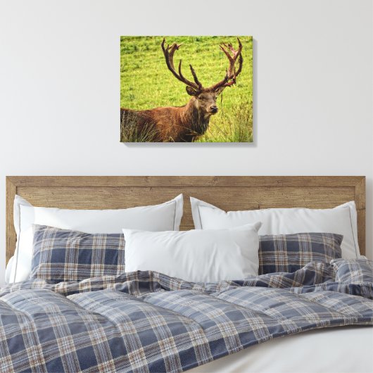 Red Deer Stag Canvas Afdruk (Insitu (Slaapkamer))