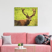 Red Deer Stag Canvas Afdruk (Insitu (Woonkamer))