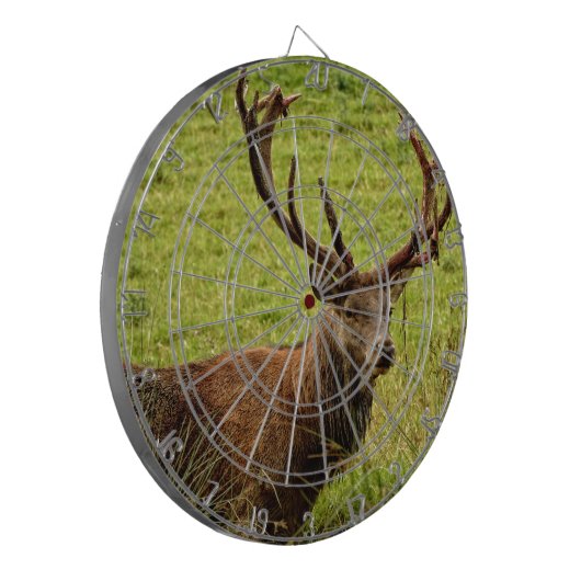 Red Deer Stag Dartbord (Voorkant Links)