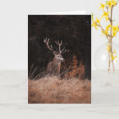 Red Deer Stag Kaart (Gele Bloem)