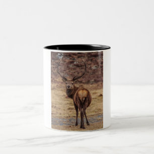 Red Deer Stag Mok
