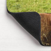 Red Deer Stag Muismat (Hoek)