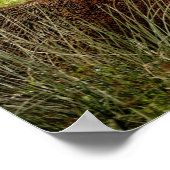 Red Deer Stag Poster (Hoek)