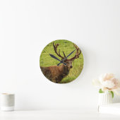 Red Deer Stag Ronde Klok (Huis)