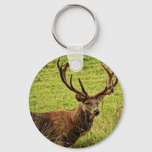 Red Deer Stag Sleutelhanger (Voorkant)