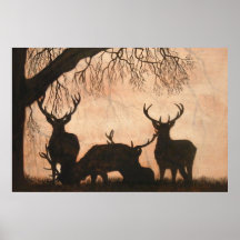 Red Deer Stags Poster