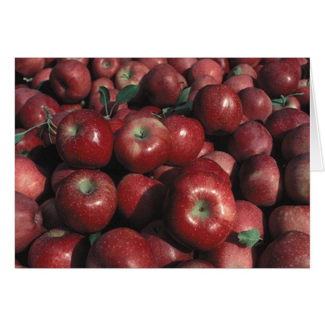 Red Delicious Apple Crop (Voorkant Horizontaal)