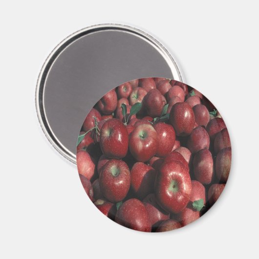 Red Delicious Apple Crop Magneet (Voorkant / Achterkant)