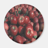 Red Delicious Apple Crop Magneet (Voorkant)