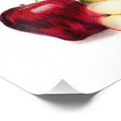 Red Delicious en Granny Smith Apples Print Foto Afdruk (Hoek)