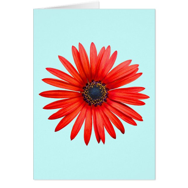 Red Devil (Voorkant)