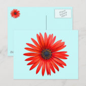 Red Devil Briefkaart (Voorkant / Achterkant)