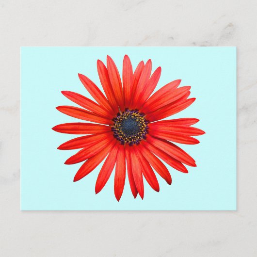 Red Devil Briefkaart (Voorkant)