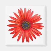 Red Devil Magneet (Voorkant)