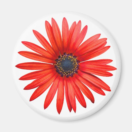 Red Devil Magneet (Voorkant)