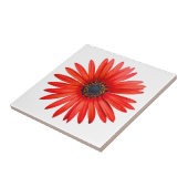 Red Devil Tegeltje (Zijkant)
