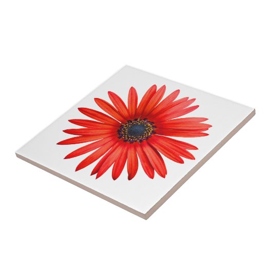 Red Devil Tegeltje (Zijkant)