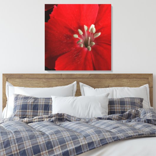 Red Dianthus Canvas Print (Insitu (Slaapkamer))